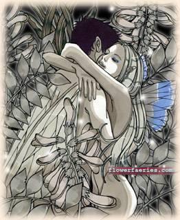 Astragalus flower faeries. Copyright© 2002 Natalia Pierandrei