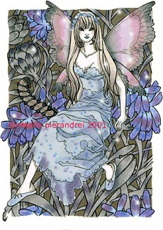 Cornflower  faeries. Copyright© 2002 Natalia Pierandrei