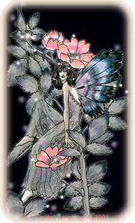 Wild Rose flower faeries. Copyright© 2002 Natalia Pierandrei