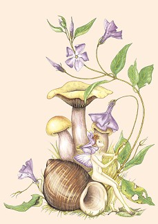 Periwinkle flower faeries. Copyright© 2002 Myrea Pettit