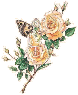 Rose flower faeries. Copyright© 2002 Myrea Pettit